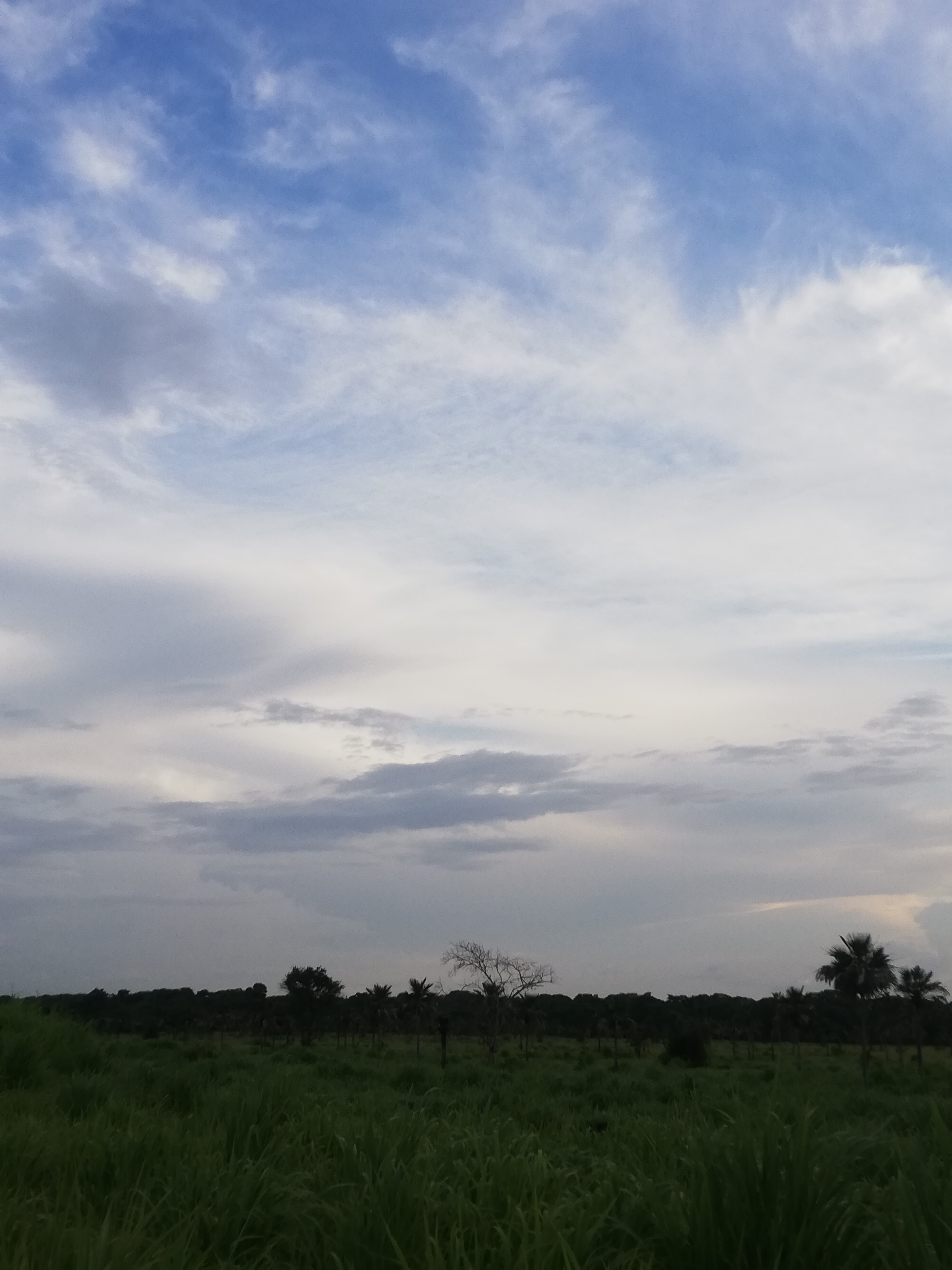 IMG_20210714_181622.jpg