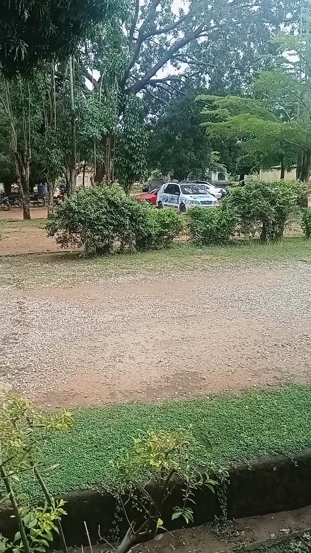 1000643681.jpg
