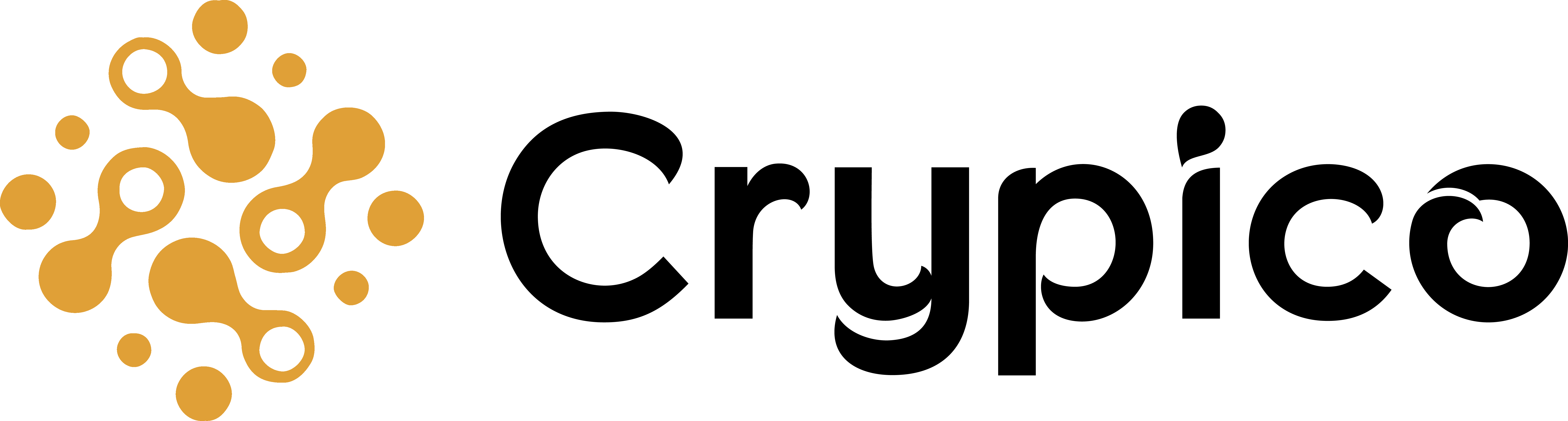 Crypico-logoOrange.png