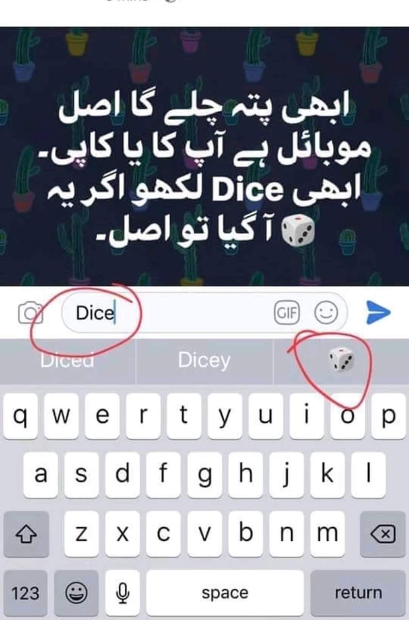 FB_IMG_1535120089142.jpg