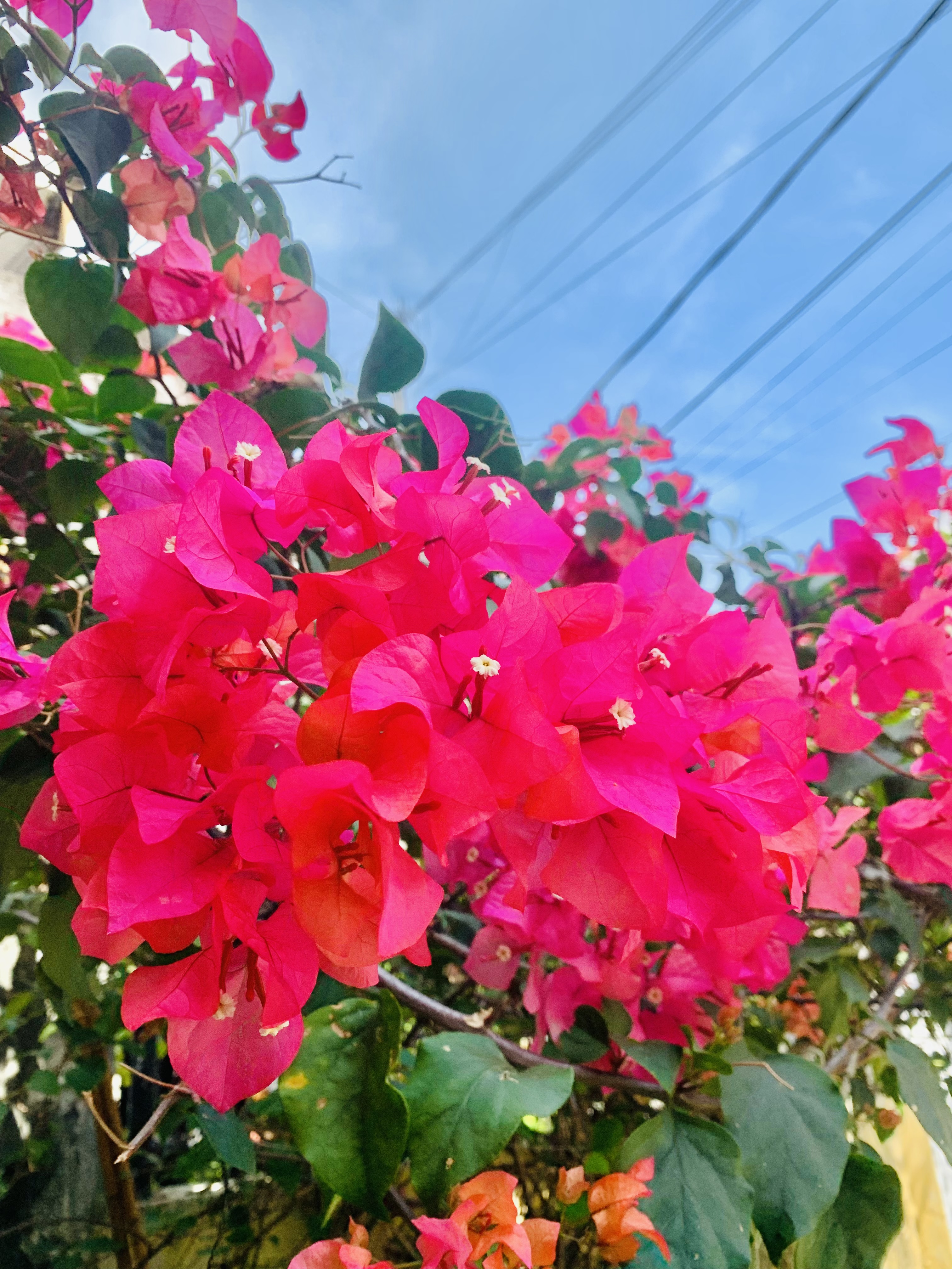 84C6C829-8562-40D8-AFA3-7B671D660796.jpeg
