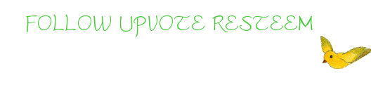 signature_1(2).gif