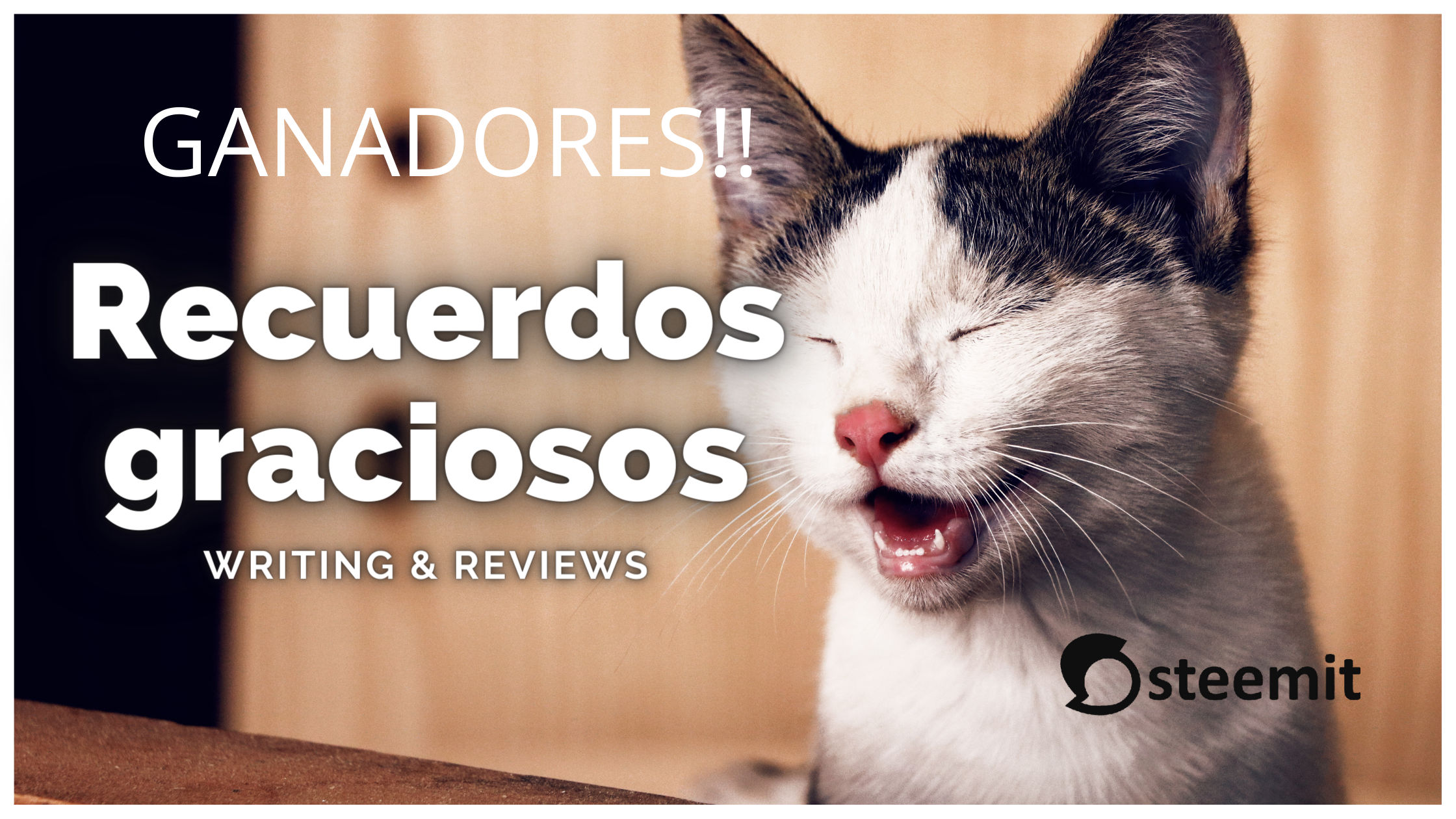 WRITING & REVIEWS (6).png