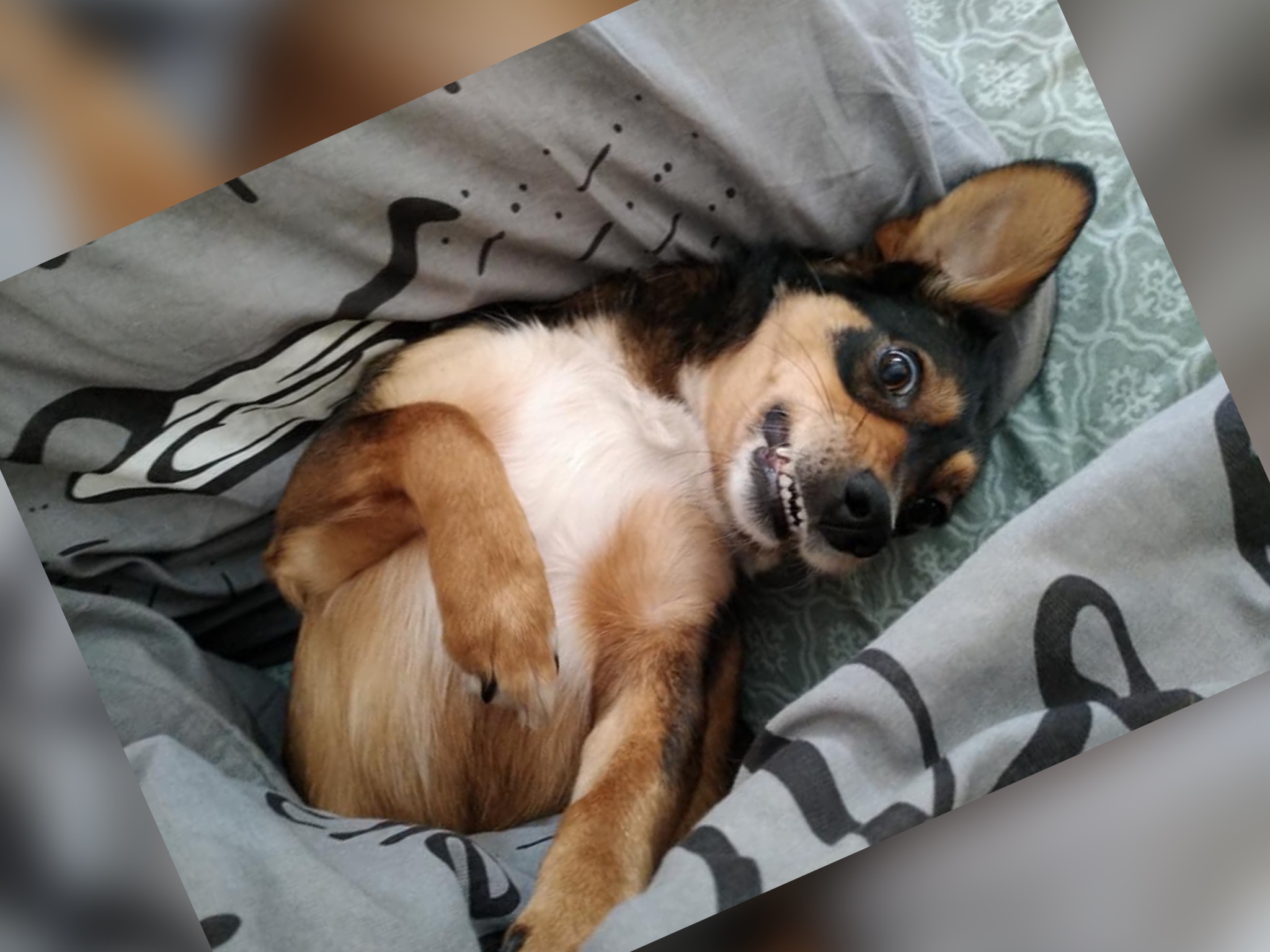 photo-output.jpeg