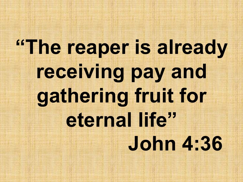 John and the eternal life. The reaper is already receiving pay and gathering fruit for eternal life. John 4,36.jpg