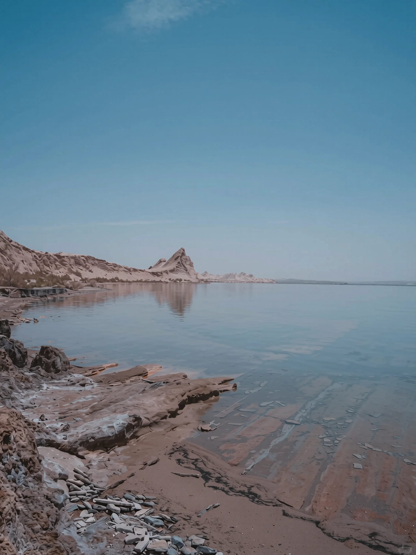 166.webp