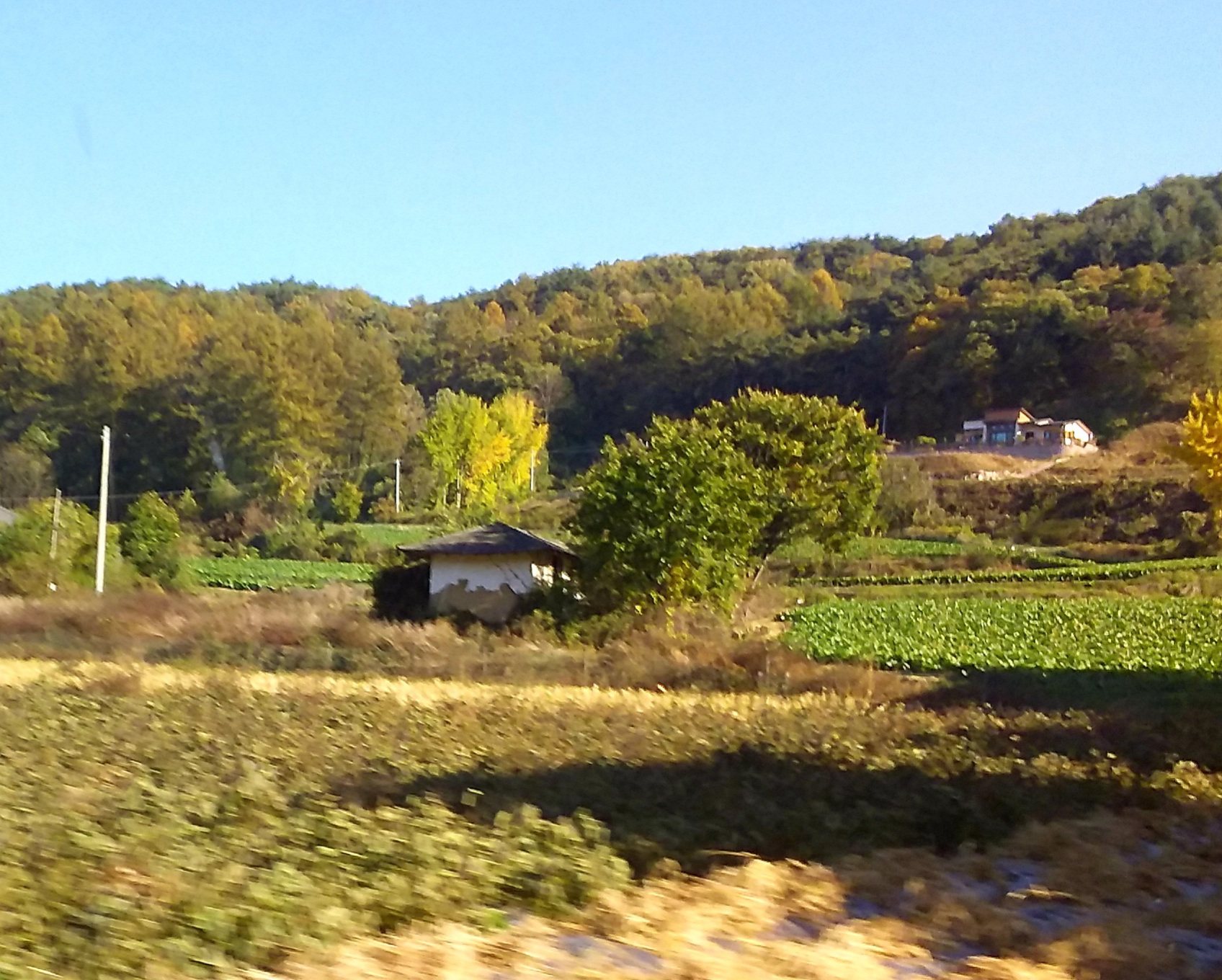 20201120_165049.jpg
