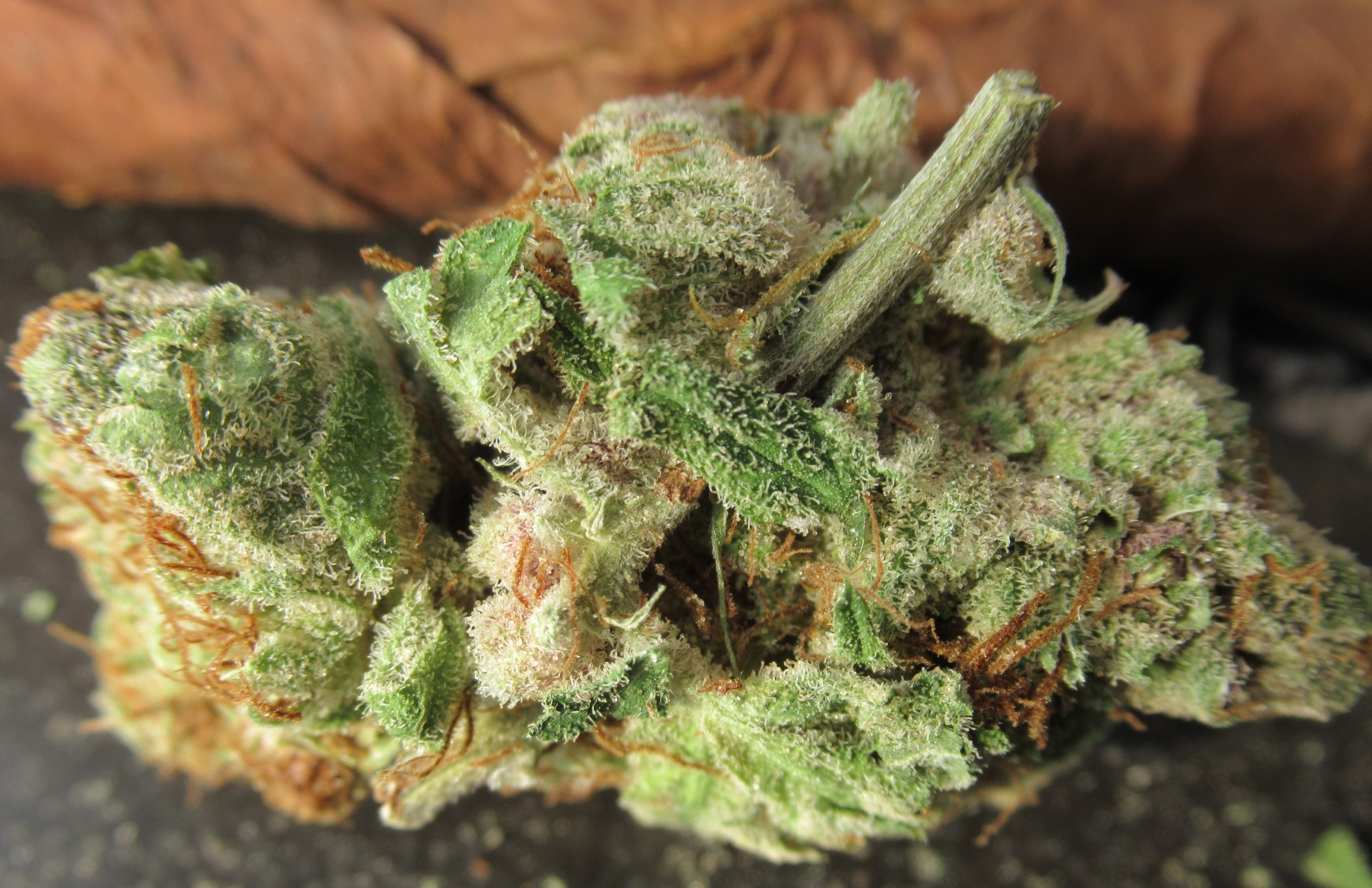 BANANA CLIPS 80/20 indica dominant Blunt with a Backwoods Rum Flavor Split Cigar - Solid Relaxation