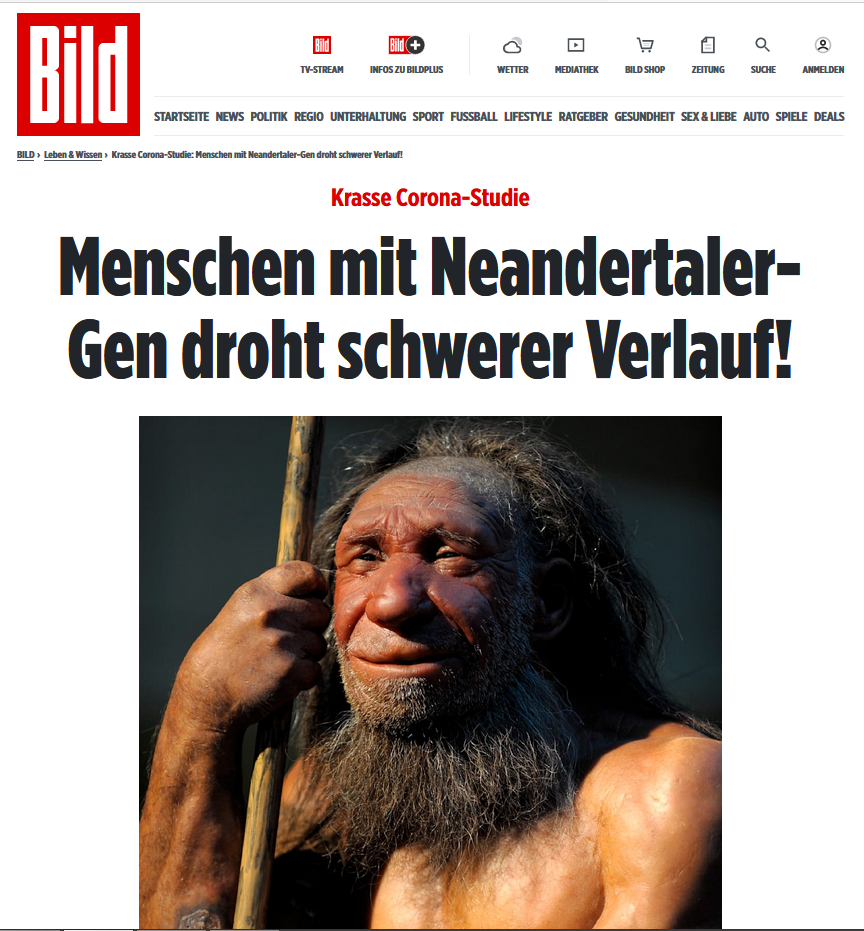 grafik.png