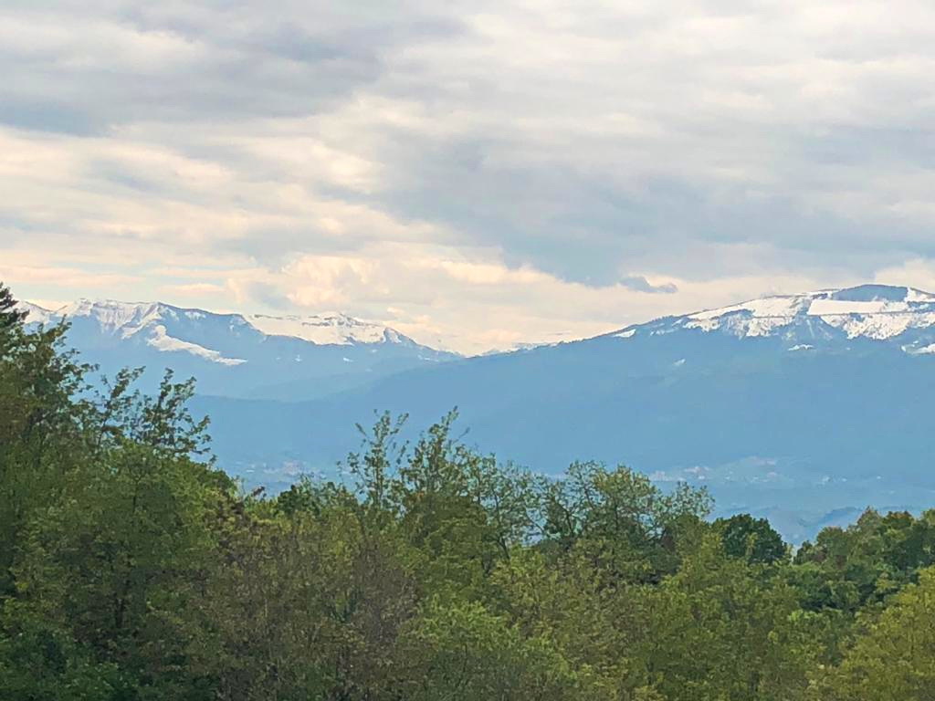 IMG-20190507-WA0002.jpg