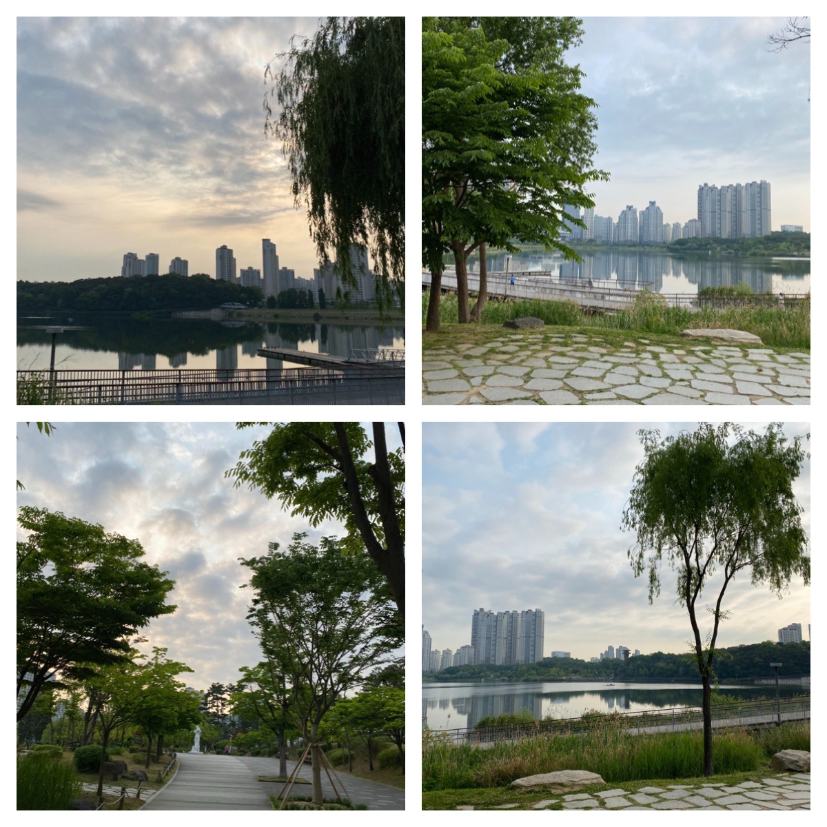 41FA47B5-1A81-41E9-A933-ED5CF3C0B8CA.jpeg