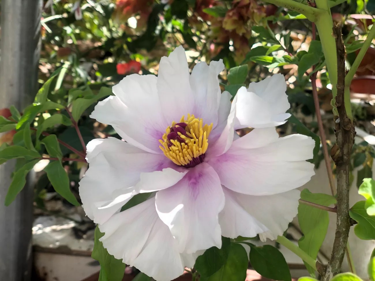 20190712184523.jpg