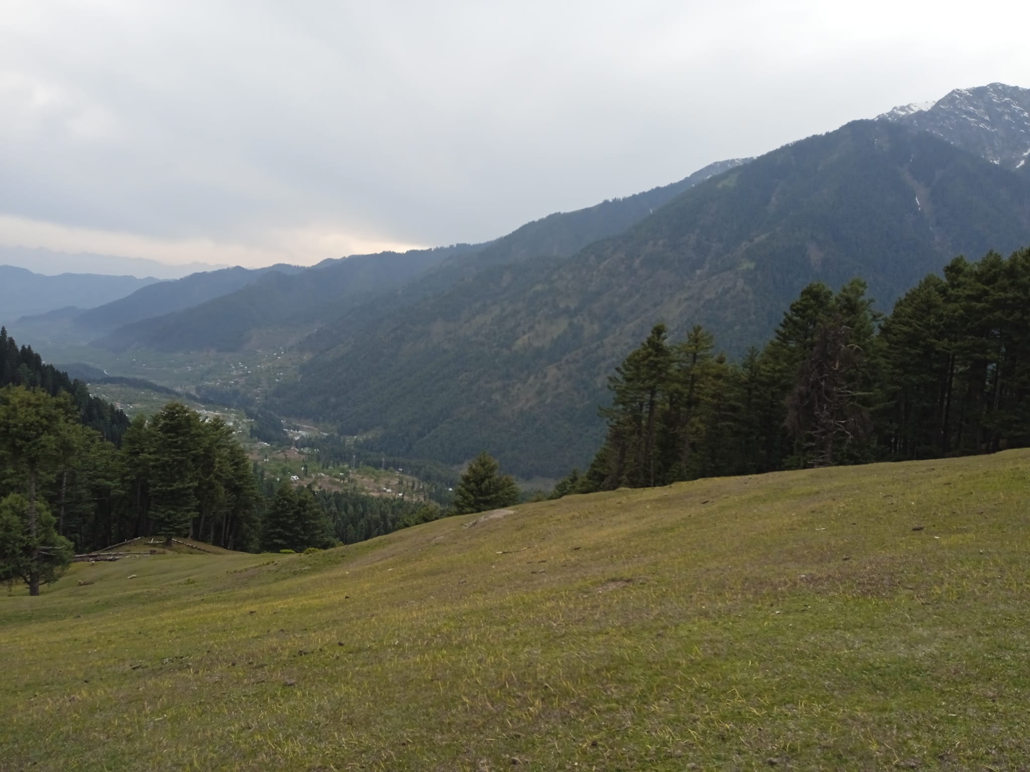 Grassland on the top of the mountain, Pahelgam..jpg