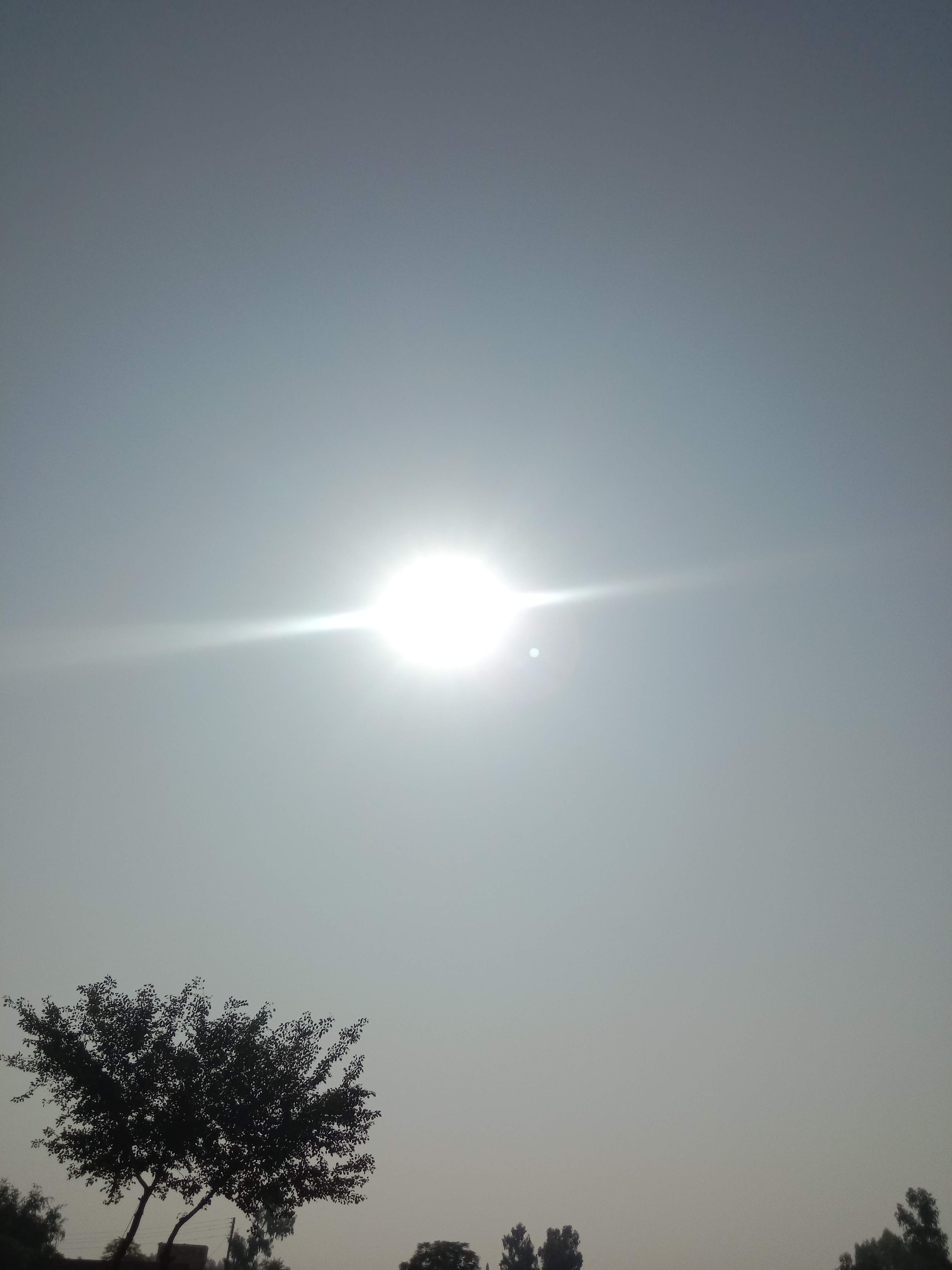 IMG_20211202_122419.jpg