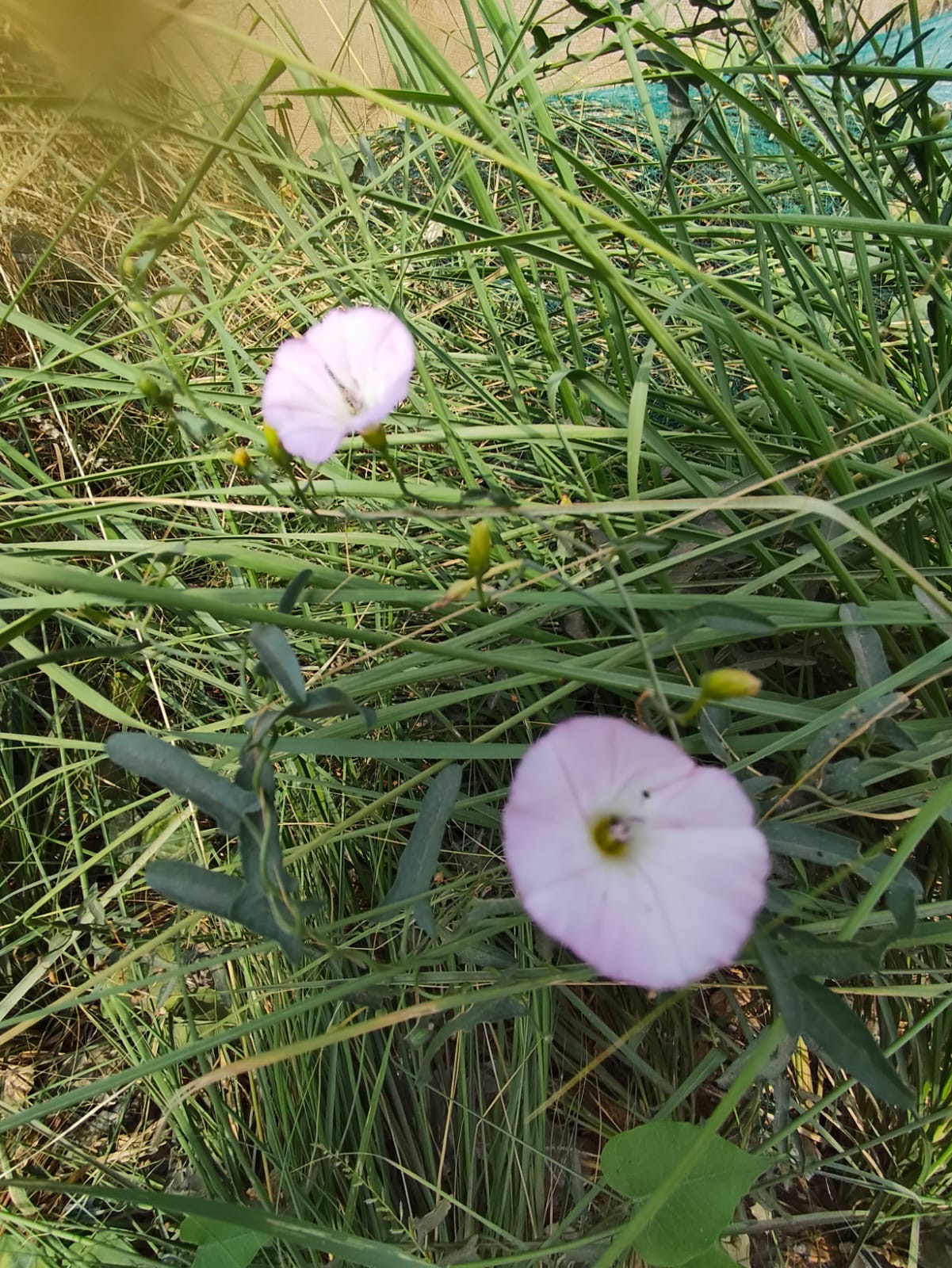 aeb4e5ab-ae1d-4f8d-9506-8bf23eb202ad.jpeg