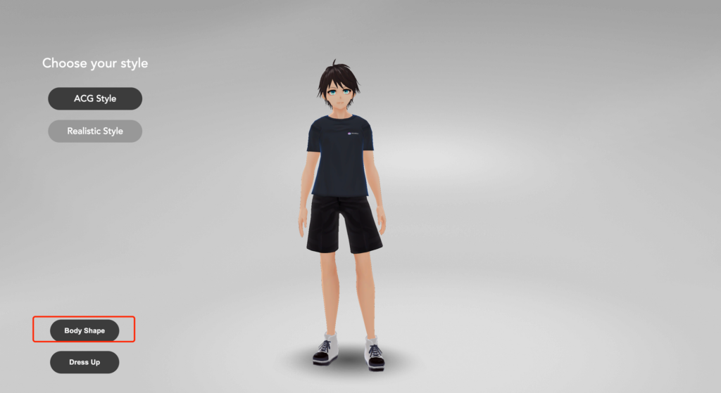 ACG-style-2-1024x559.png