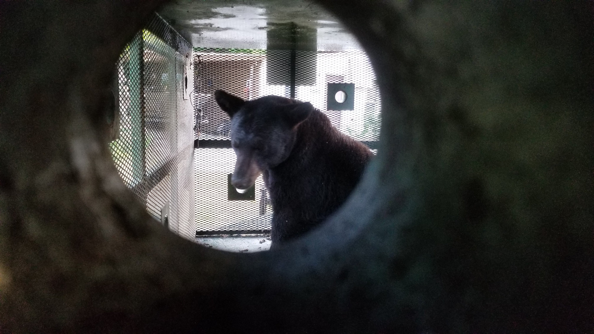 20180504_072639.jpg