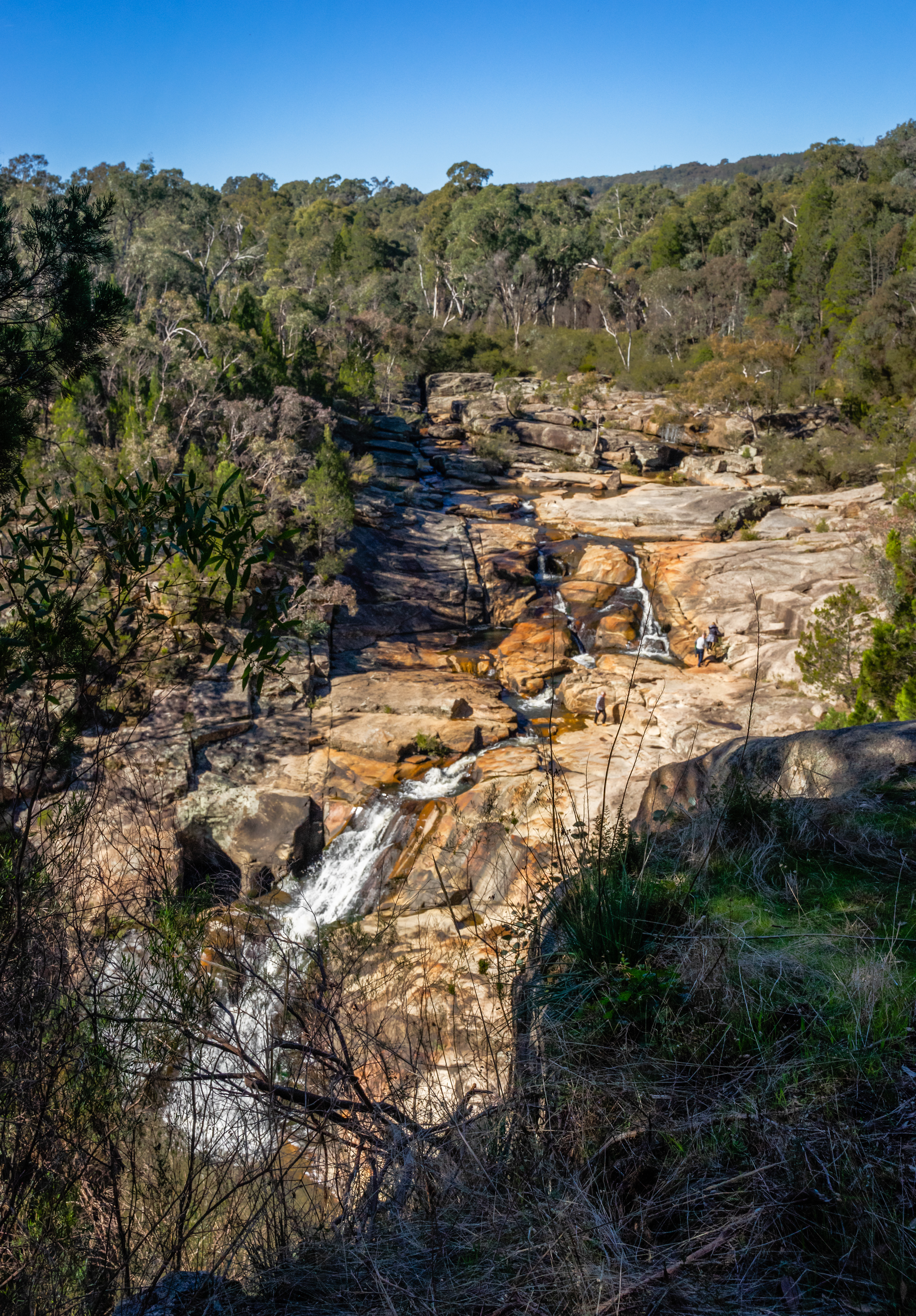 _DSC5090-Edit.jpg