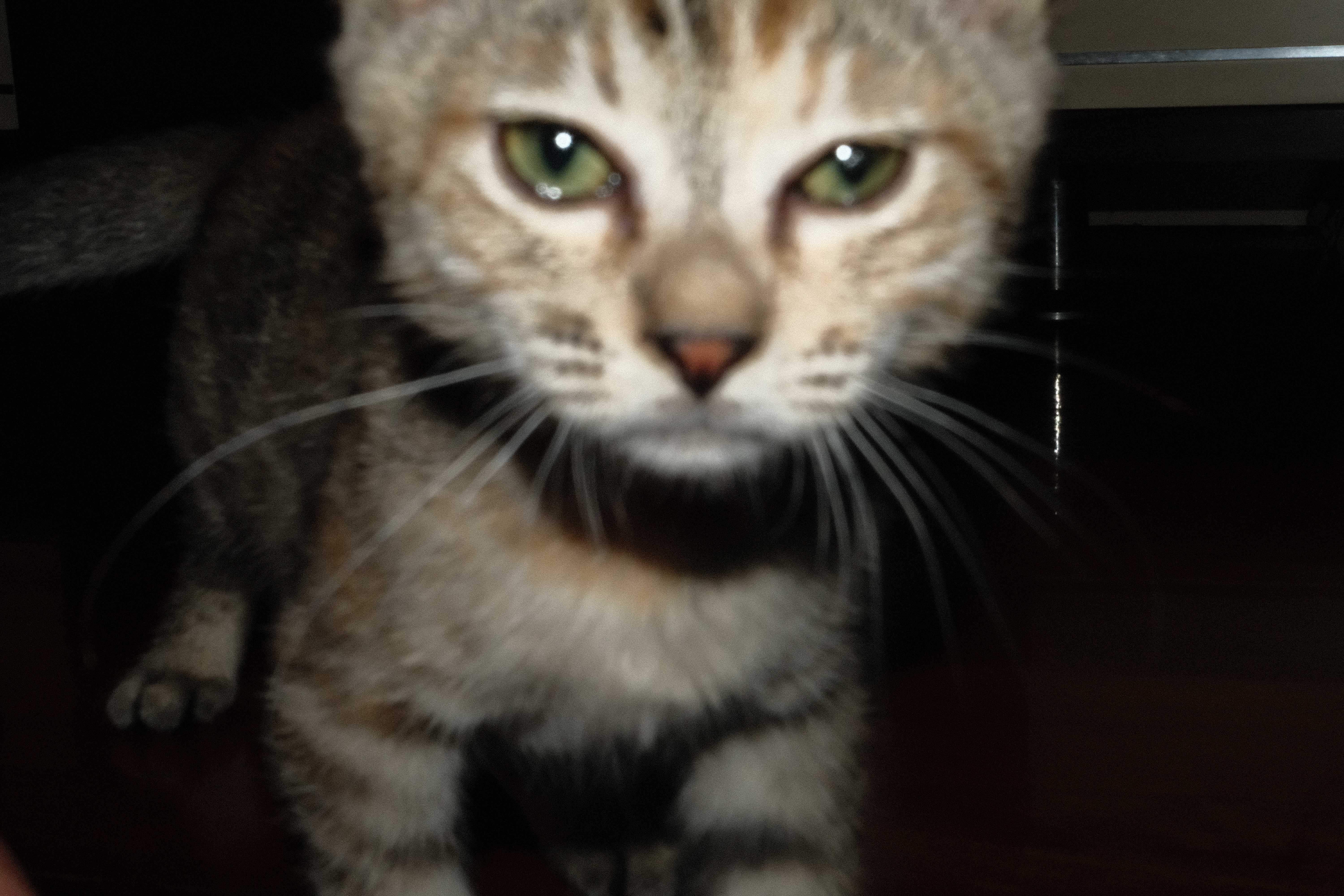 DSCF9870.jpg
