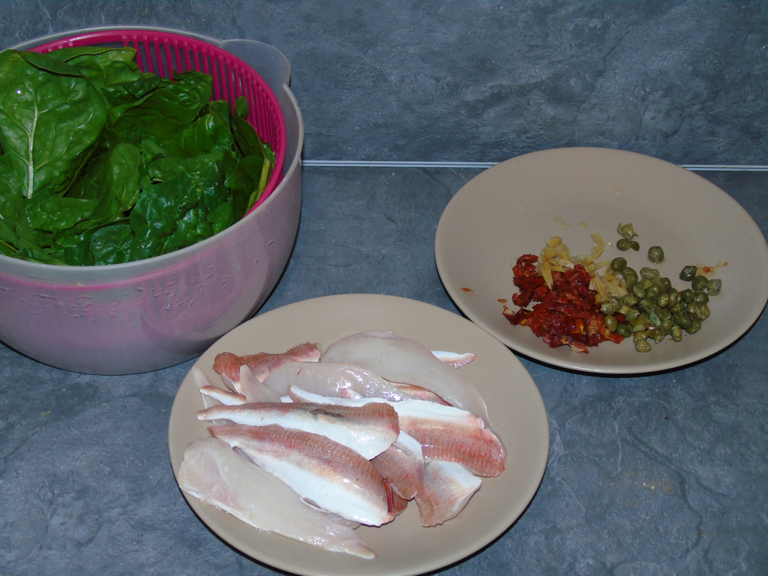 1a1grondinrouge (11).JPG