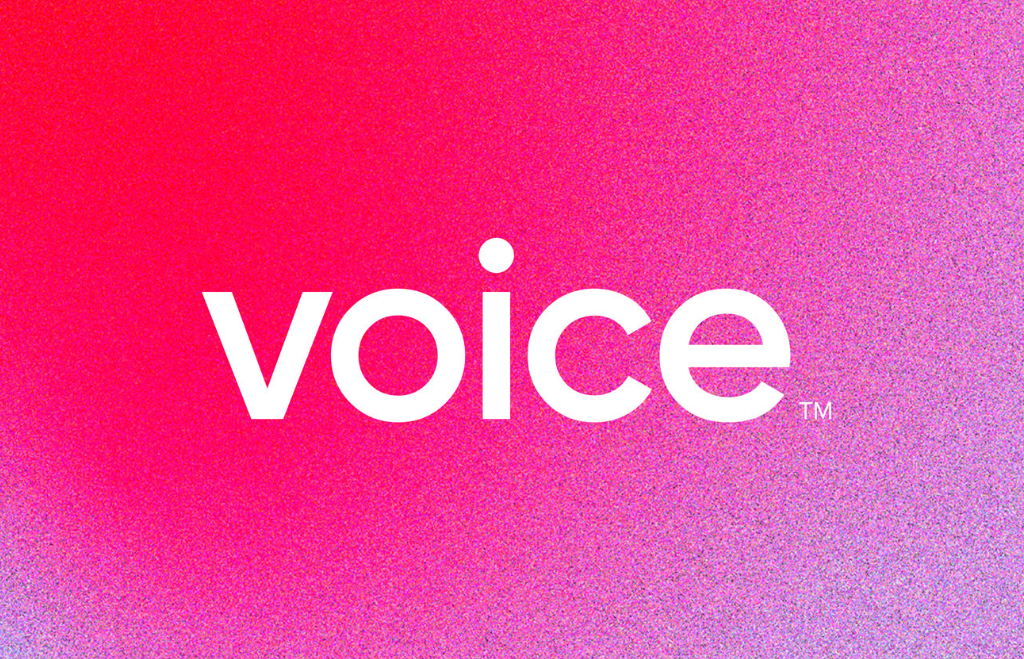 voice logo.png