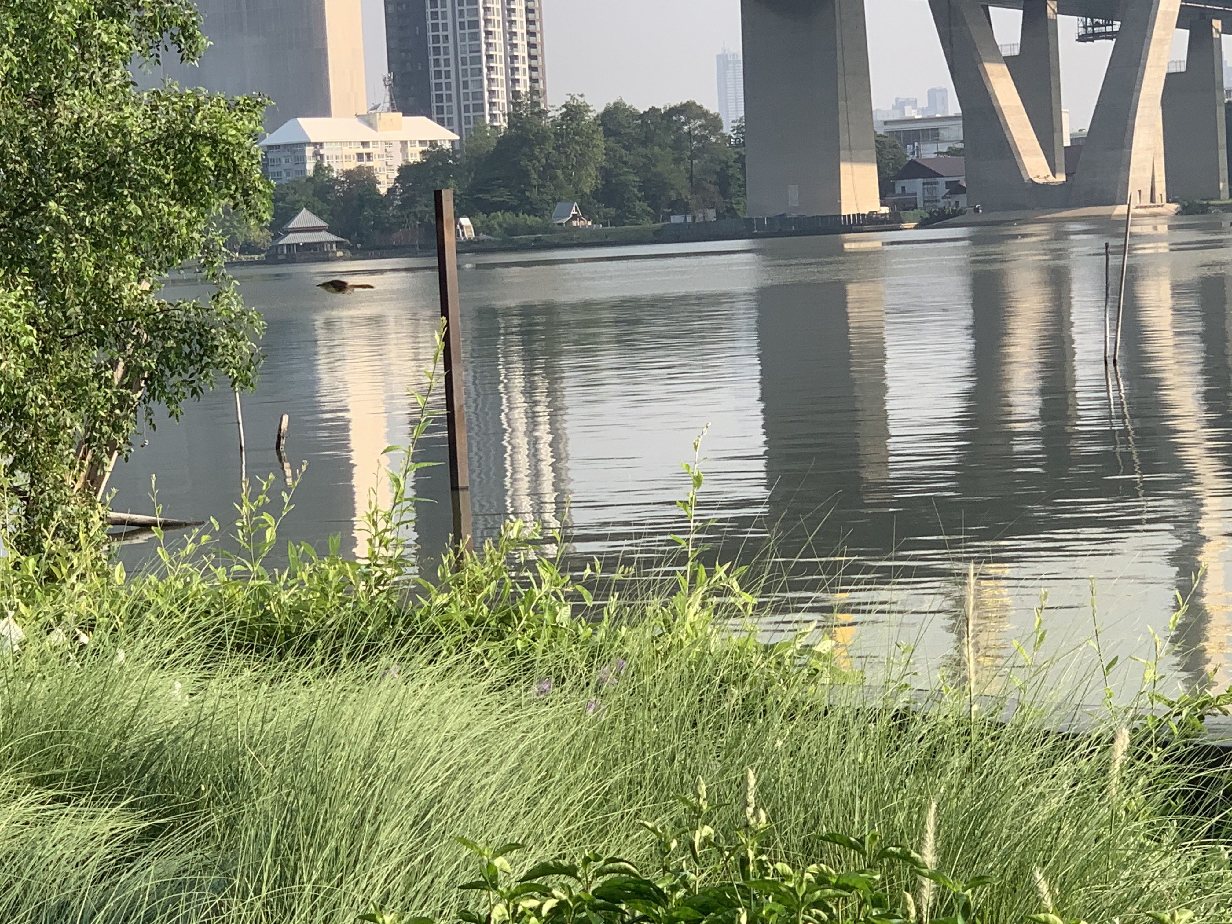 Chao Phraya River4.jpg