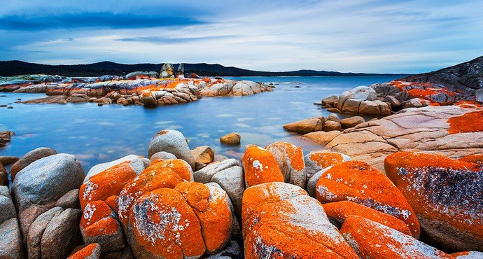 《飞鸟与夏花》每天一首自译飞鸟集（236/325） - Translate a poem from Stray Birds every day