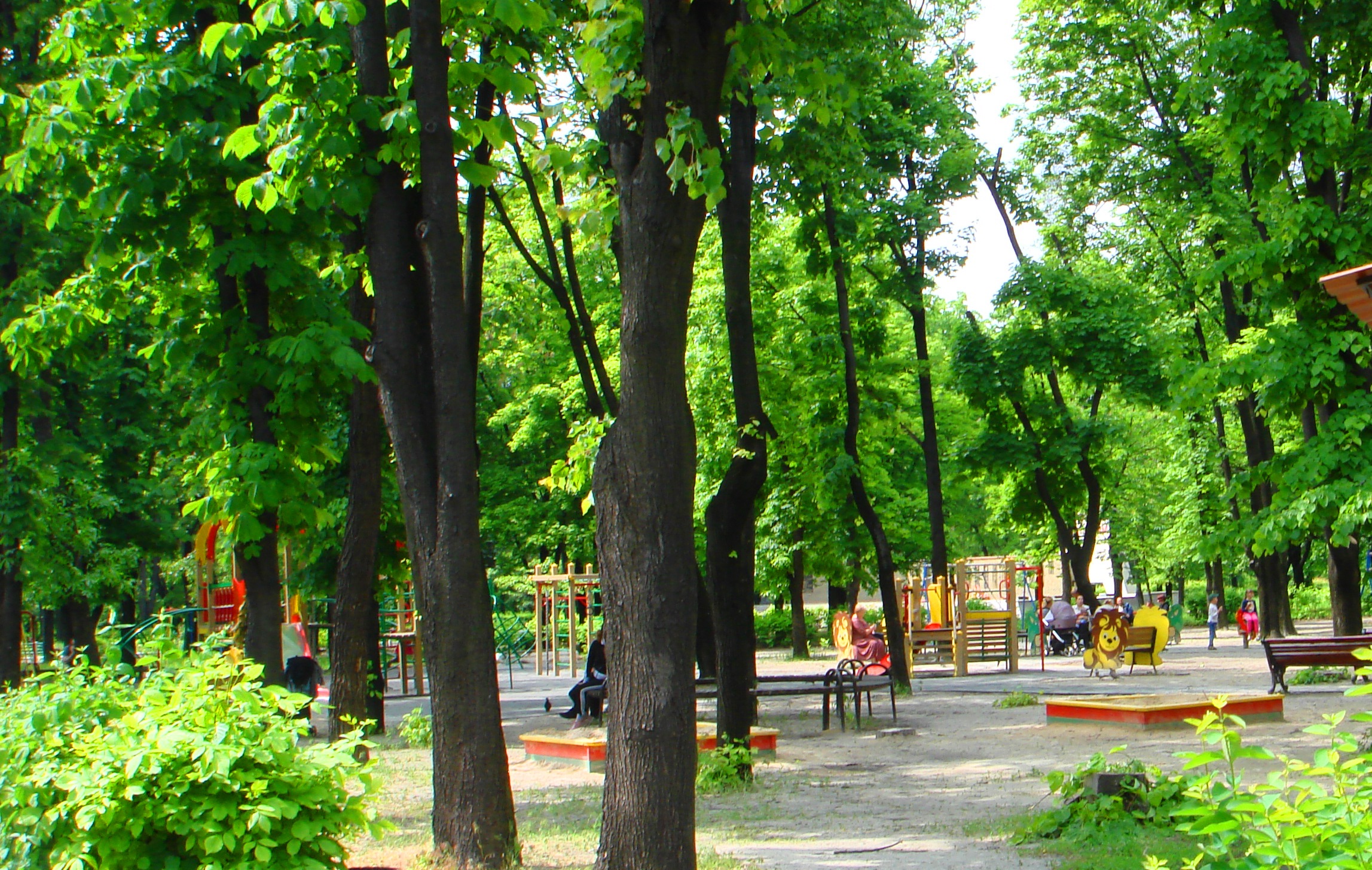 DSC02209-222222.jpg
