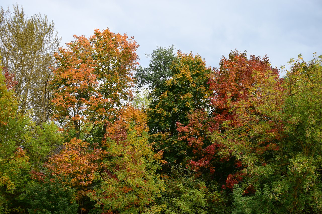 23.jpg