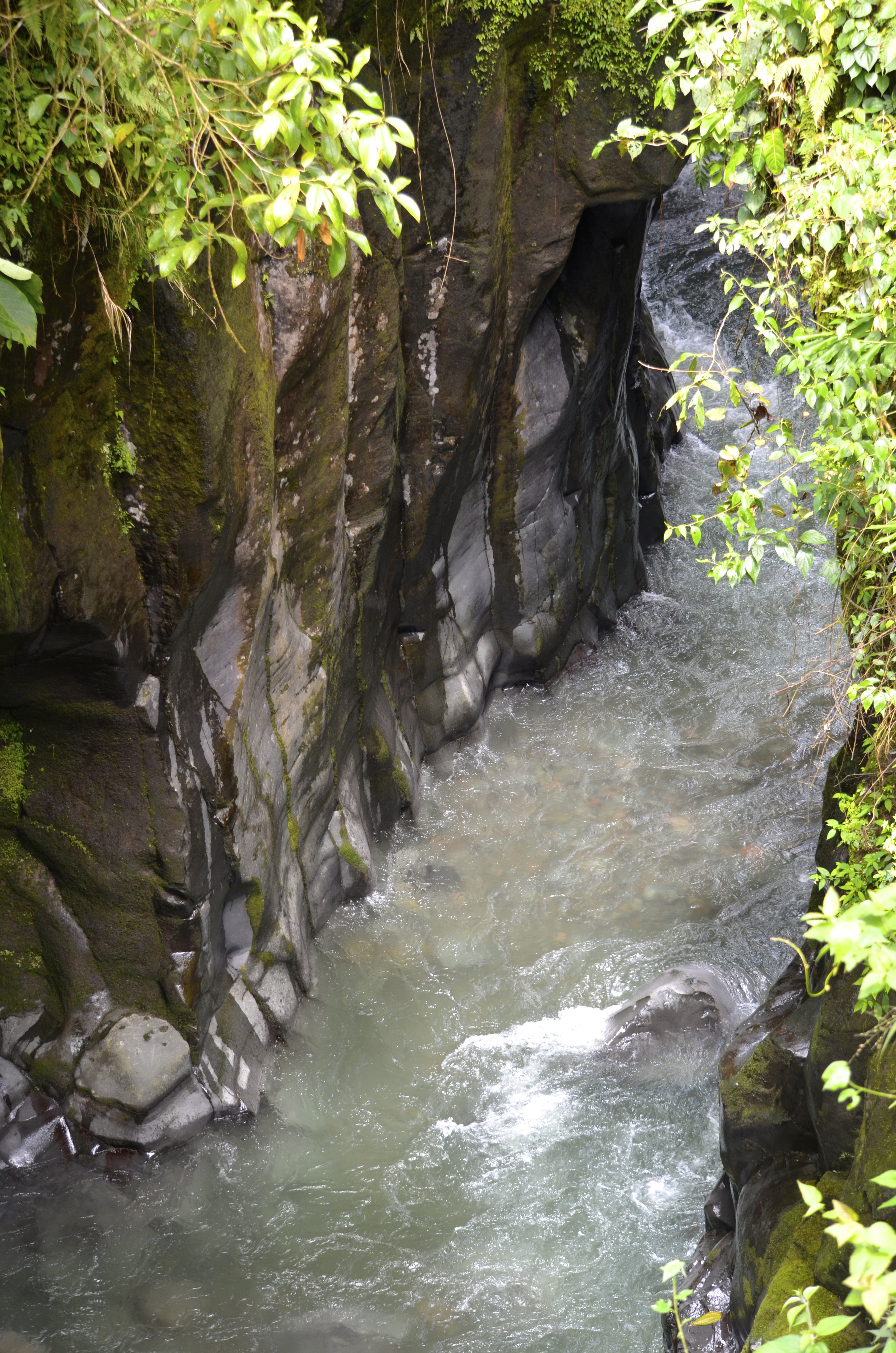 DSC_0239.jpg