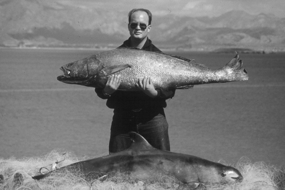 Totoaba-vaquita_1000.jpg
