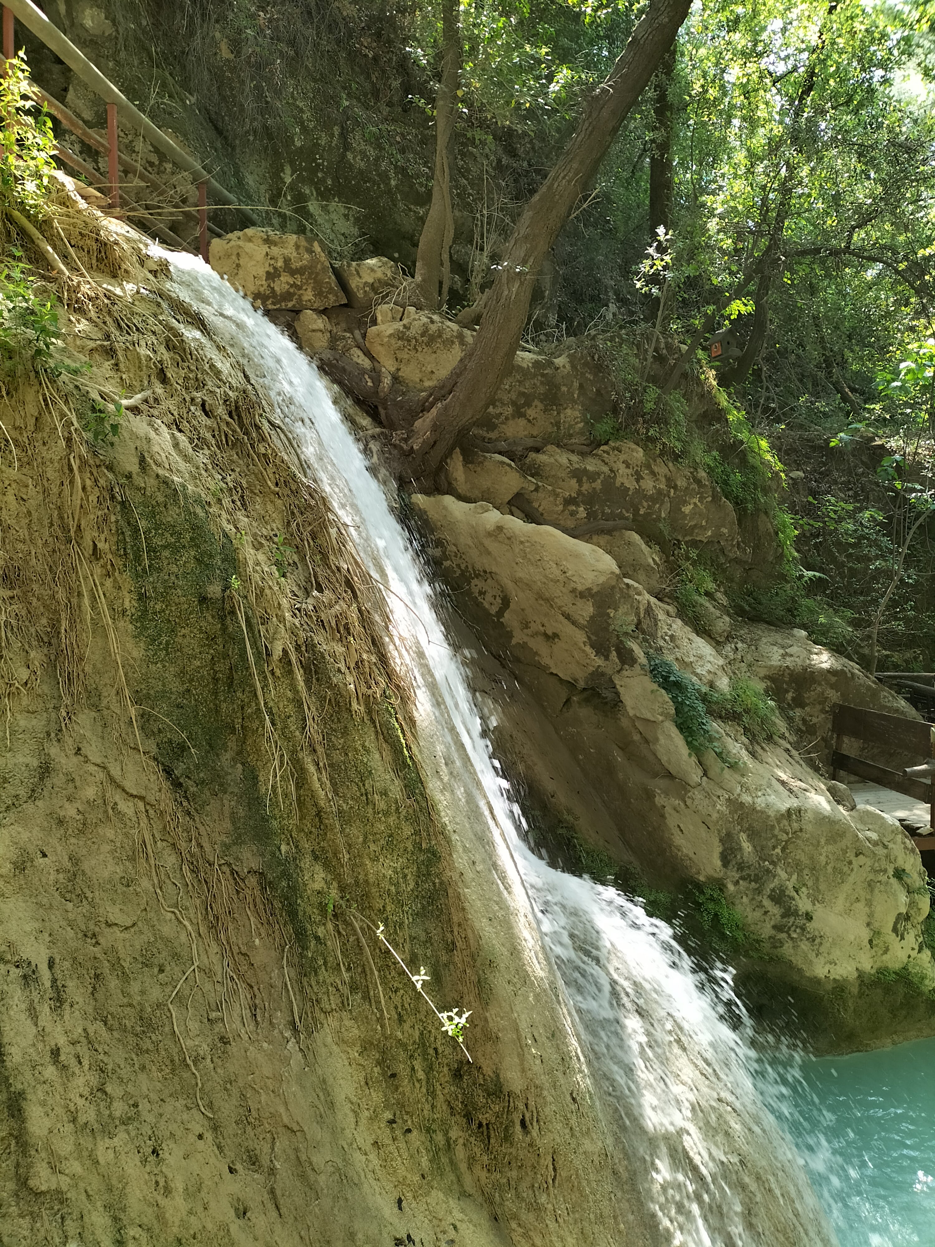IMG20220520152446.jpg