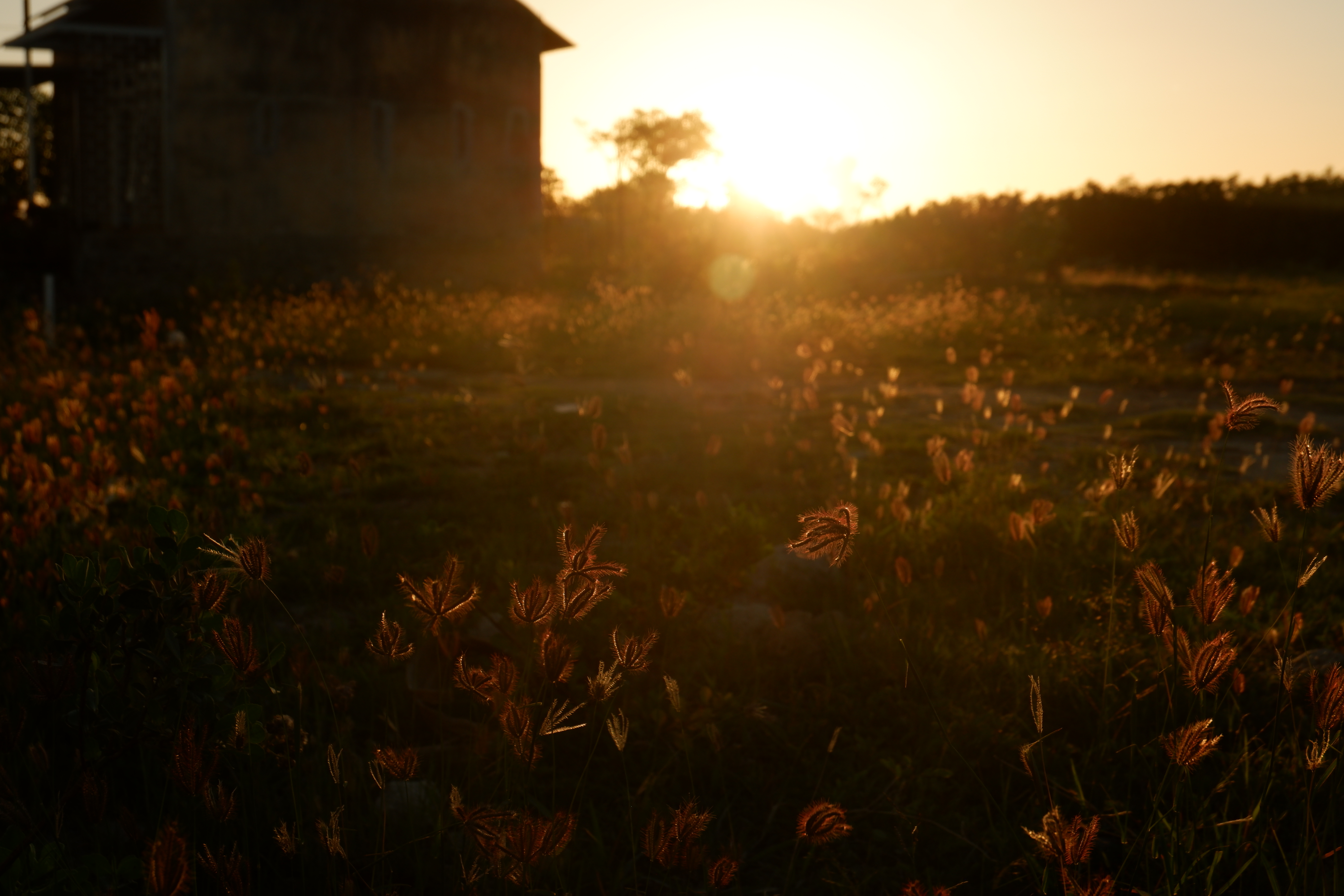 DSCF6648.JPG