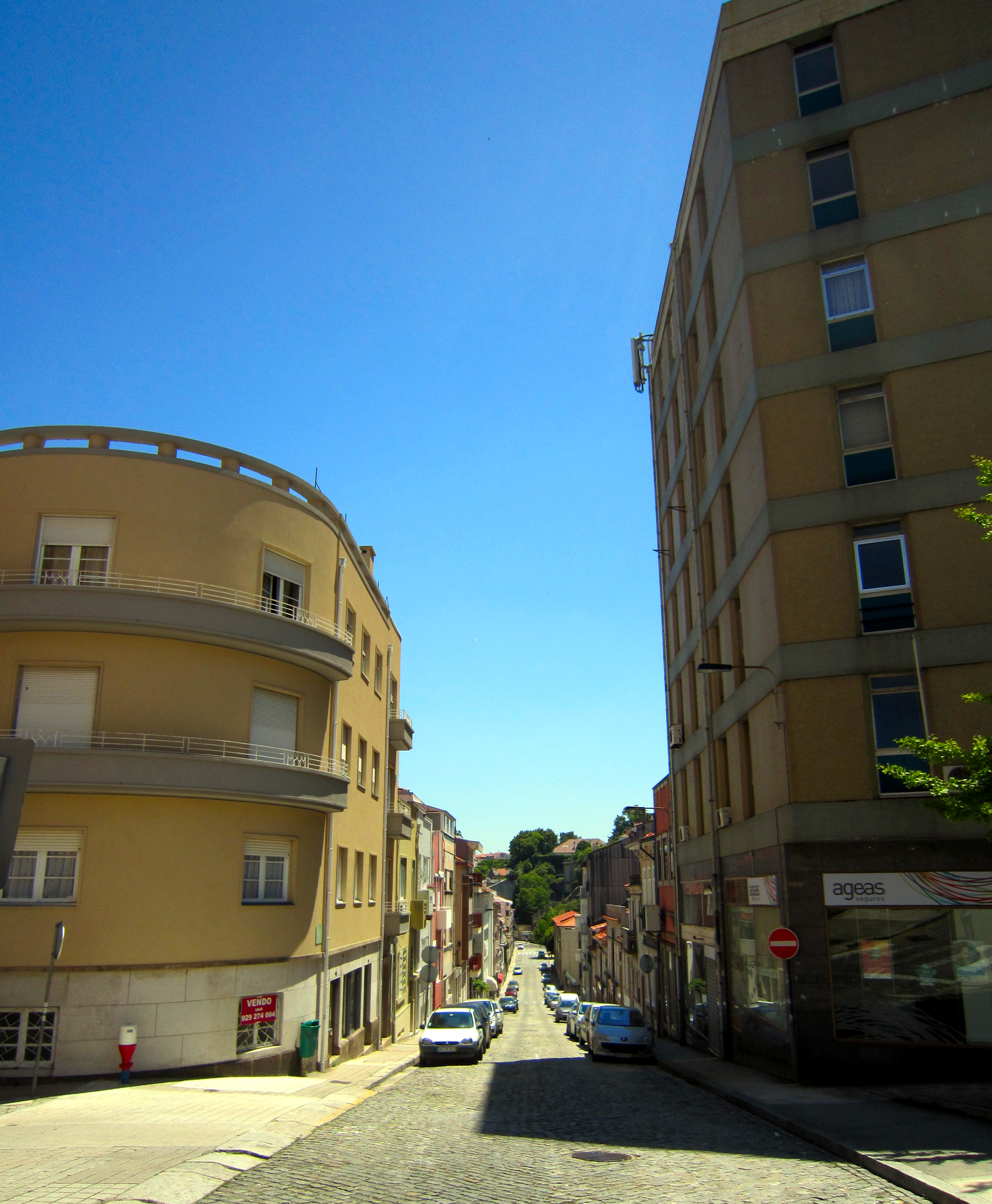 IMG_4487.JPG