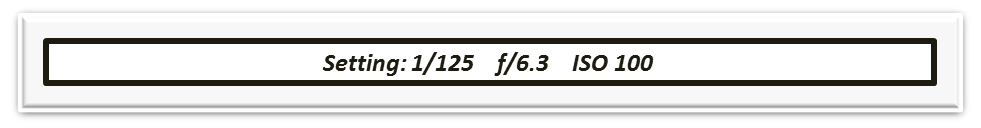 3.png