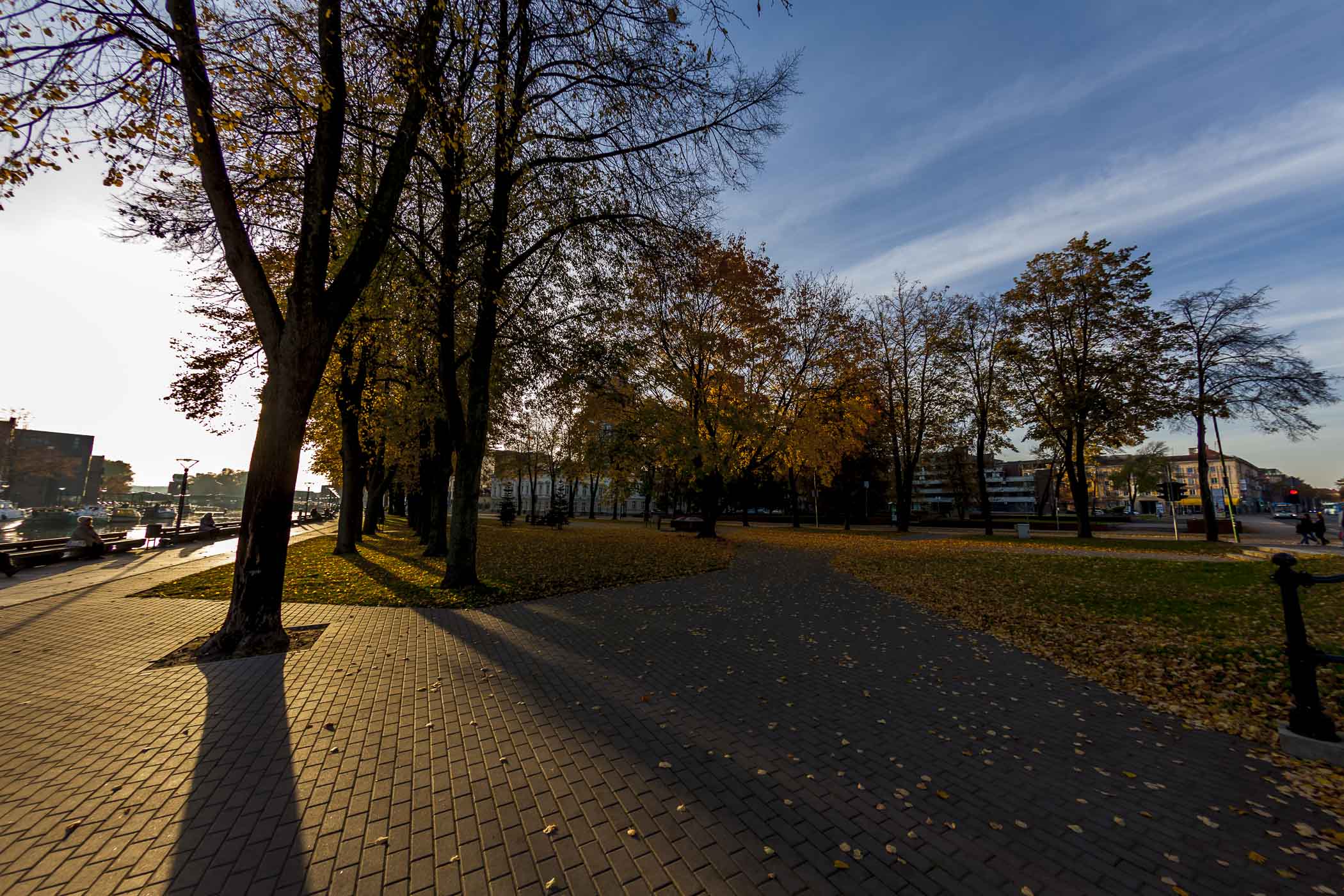 _MG_4588.jpg