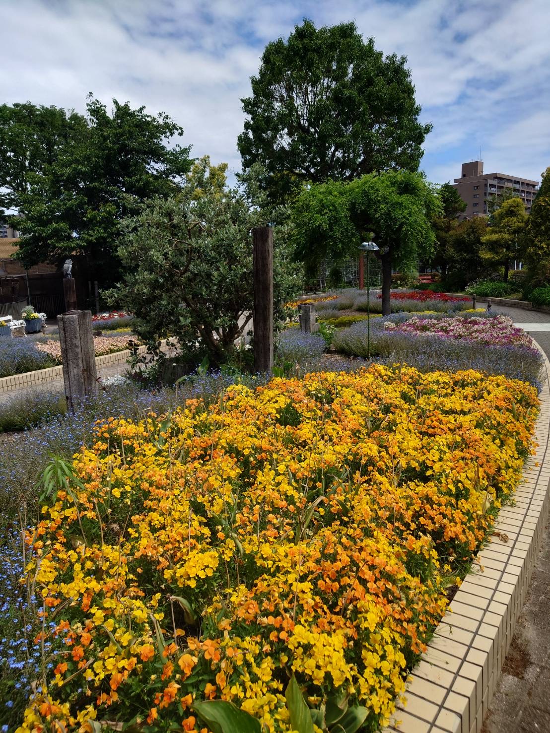 rose garden6.jpg