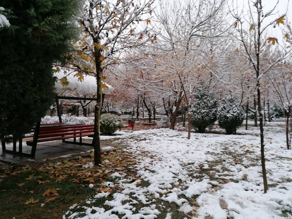 imagepark123 (30).jpeg