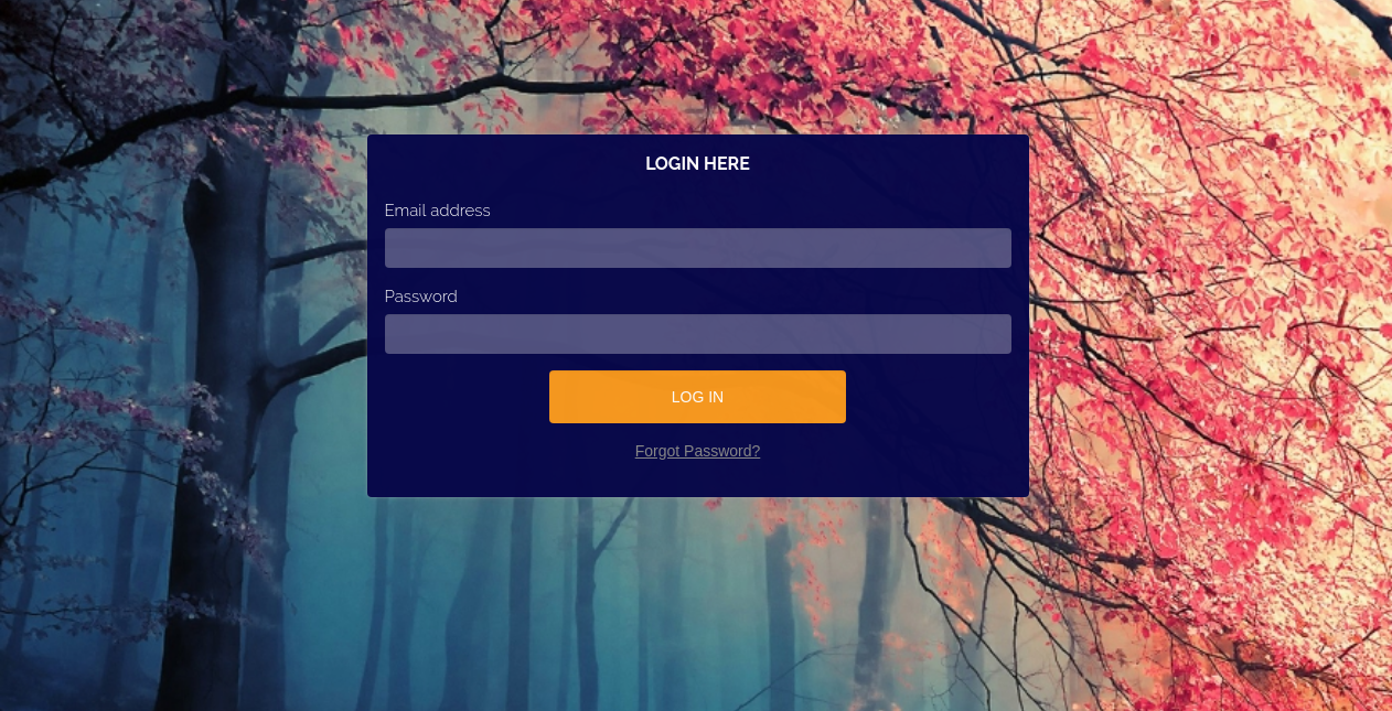 7 image Front-end.png