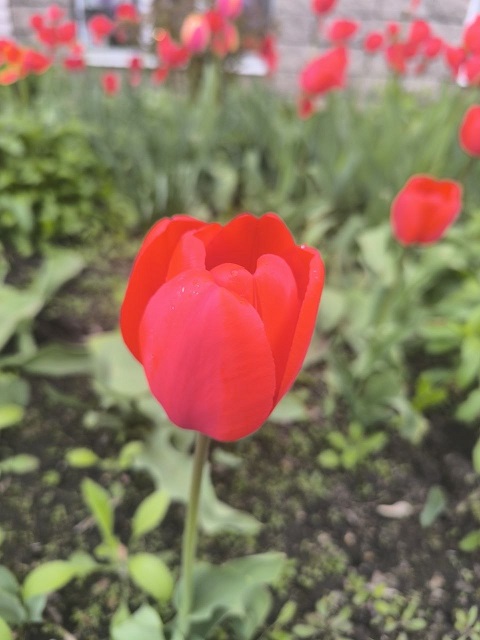 photo_2026-04-29_12-53-55 (6).jpg