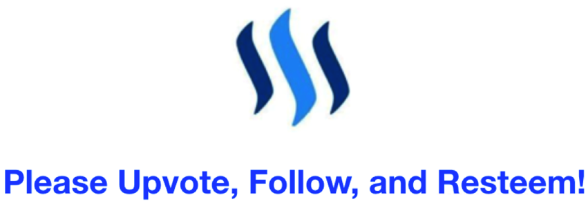 6E3B1893-8059-405A-9503-E60A957DC0C5.png