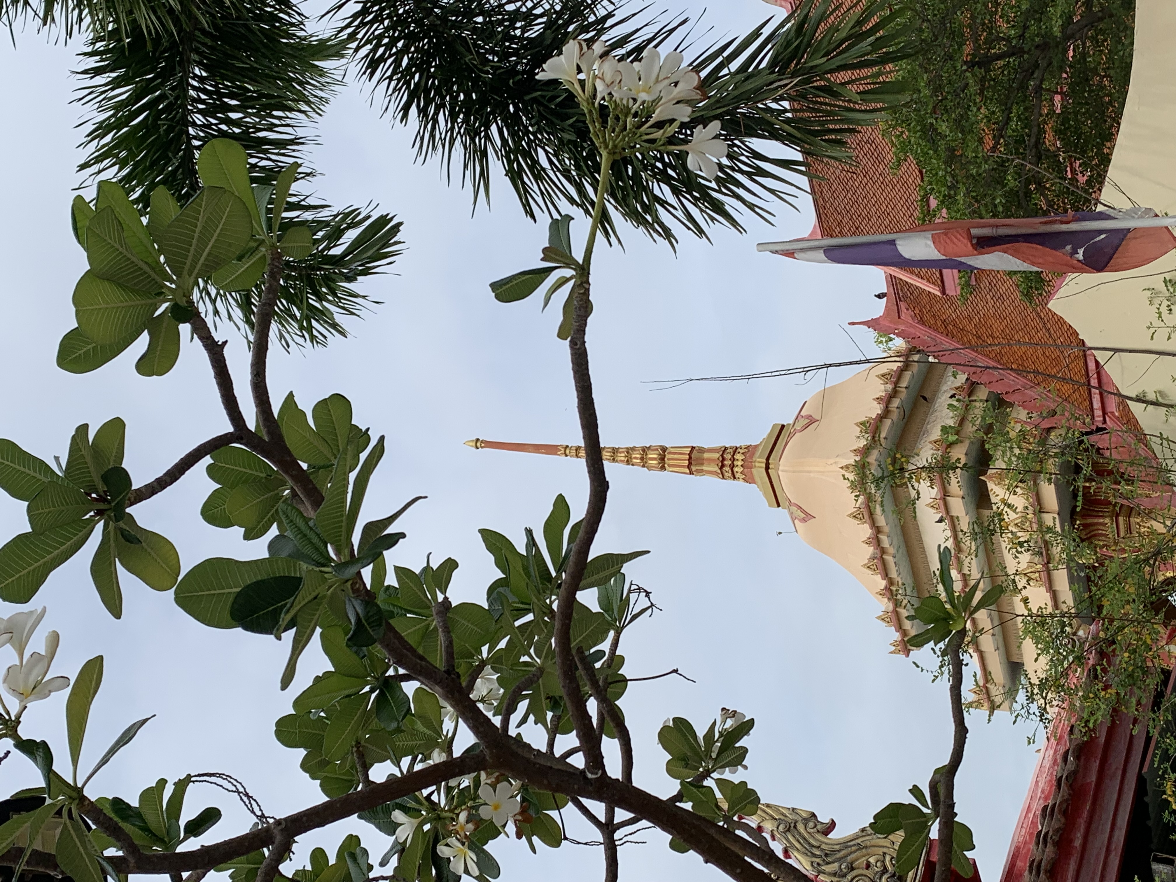 Wat Rat Burana29.jpg