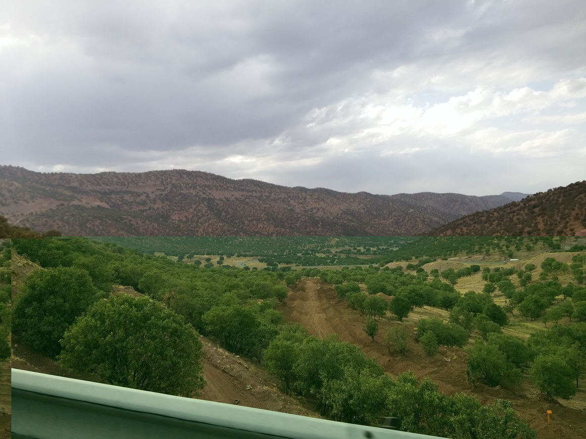 20150725_173604.jpg