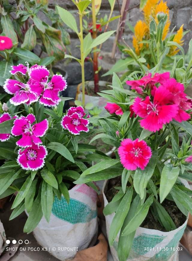 received_3110155455907780.jpeg