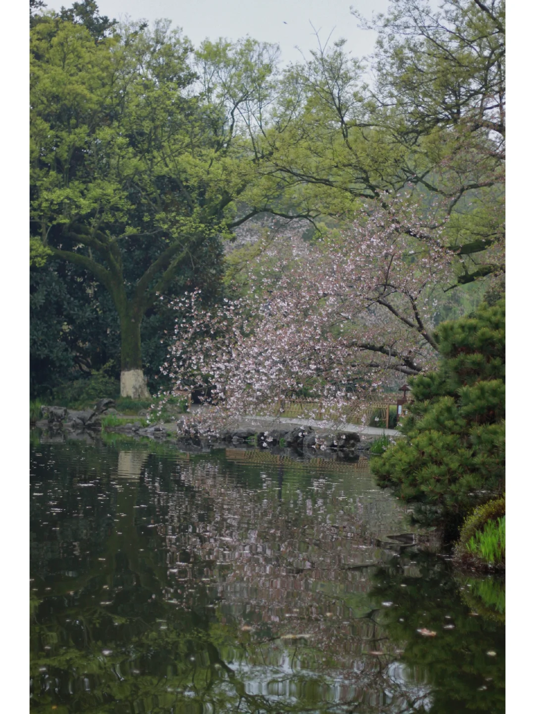 375.webp