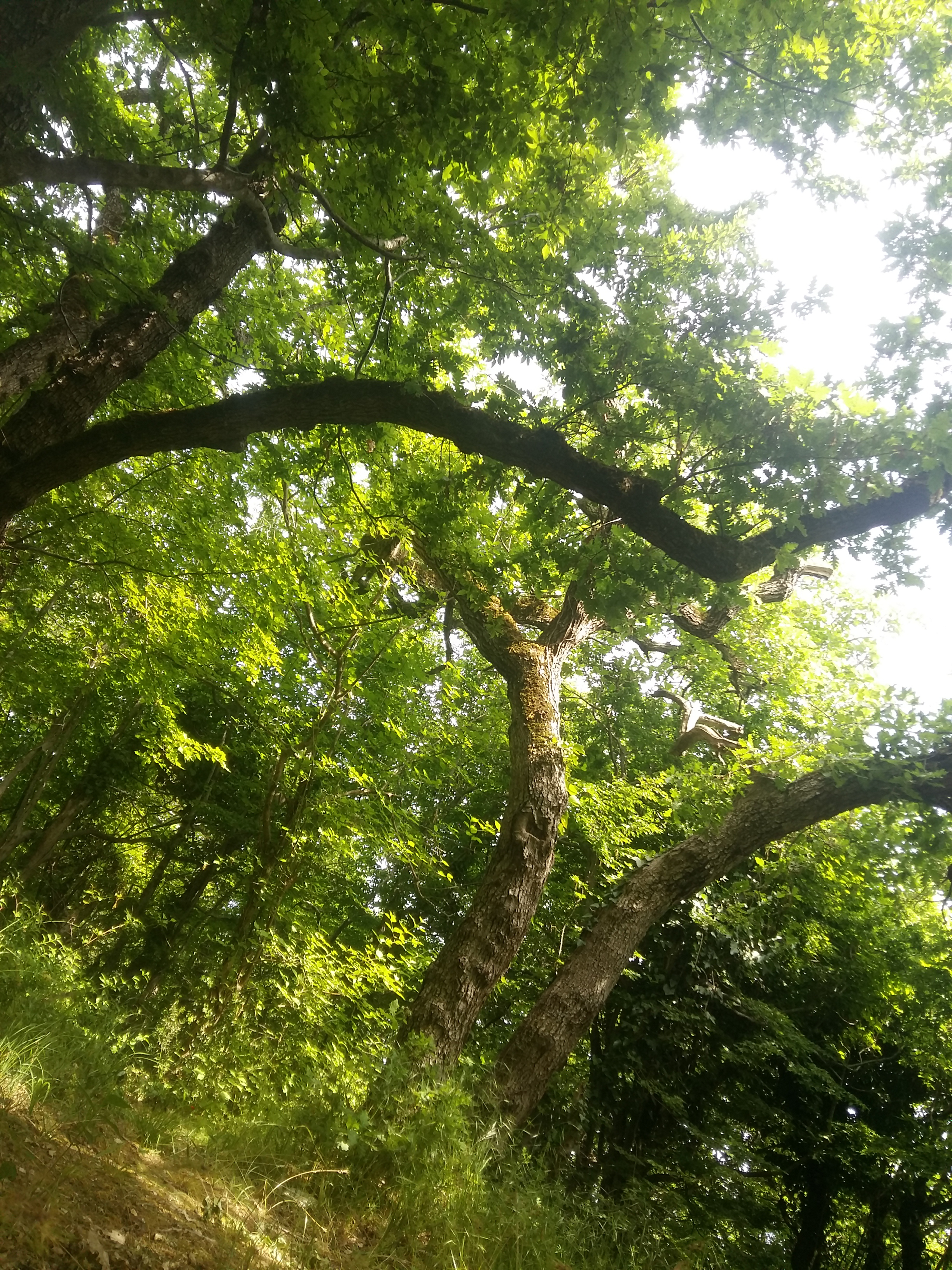 20180504_142241.jpg