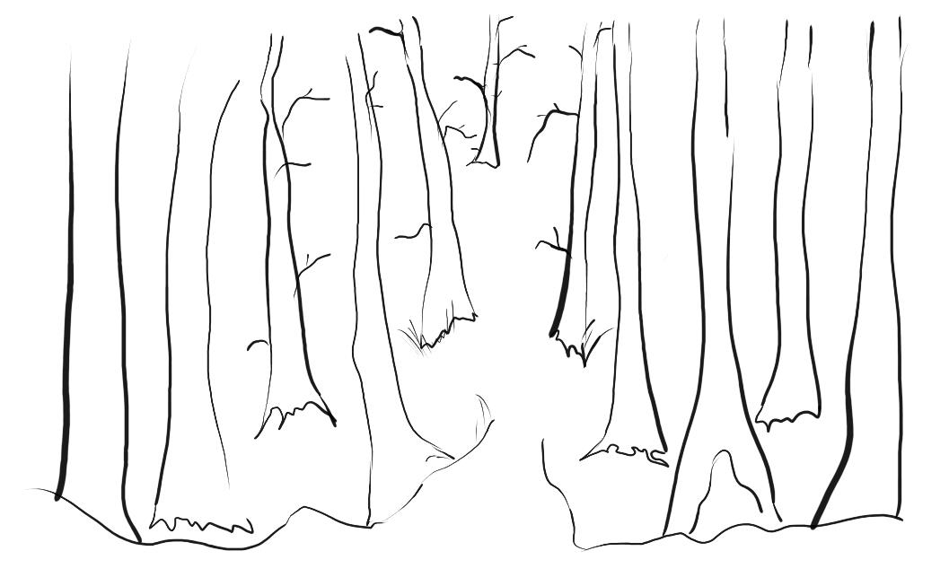 dark woods 0.jpg