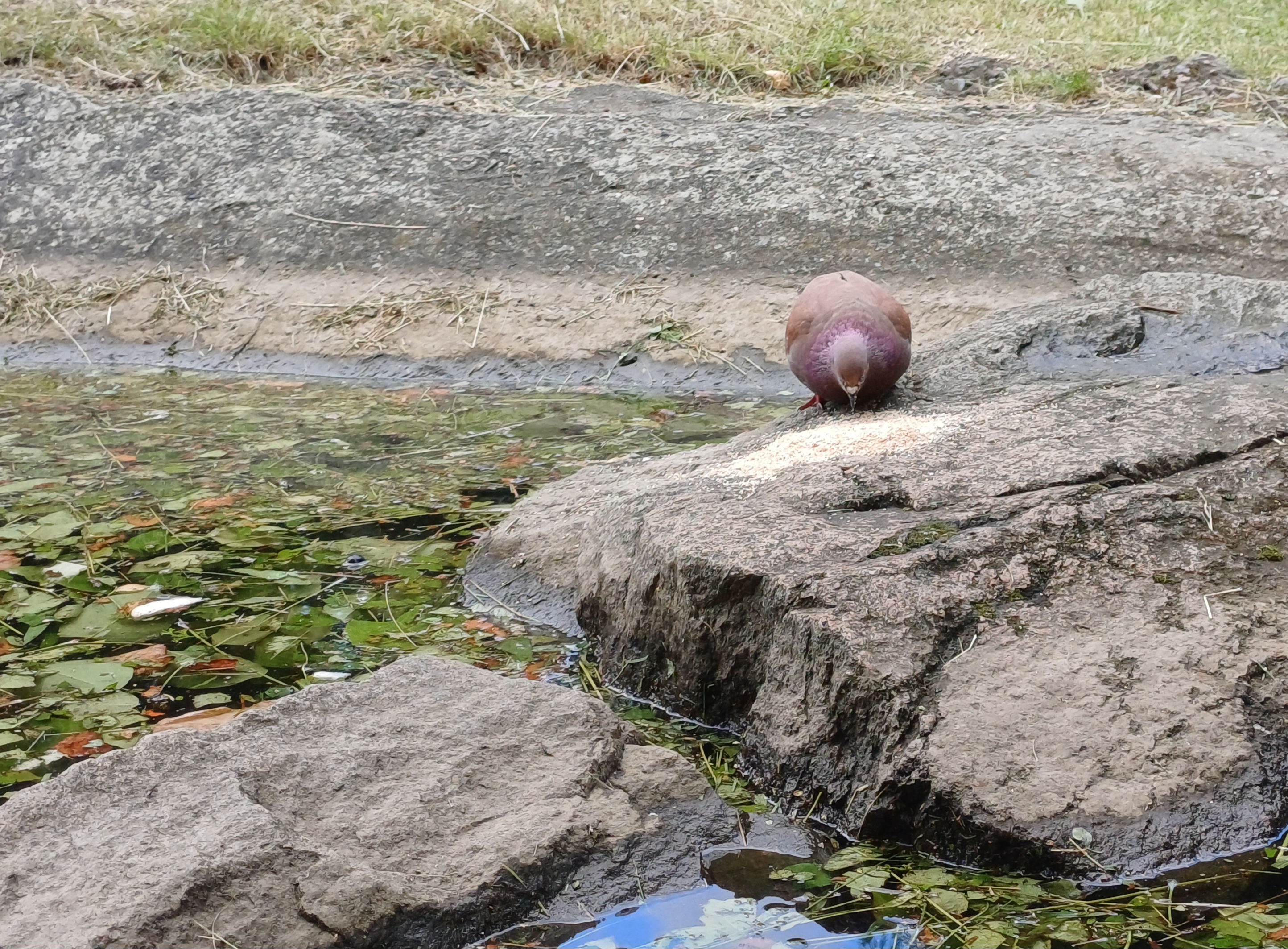 20260706_140848.jpg