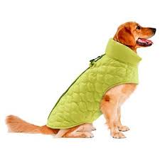Pet Clothing.jpg