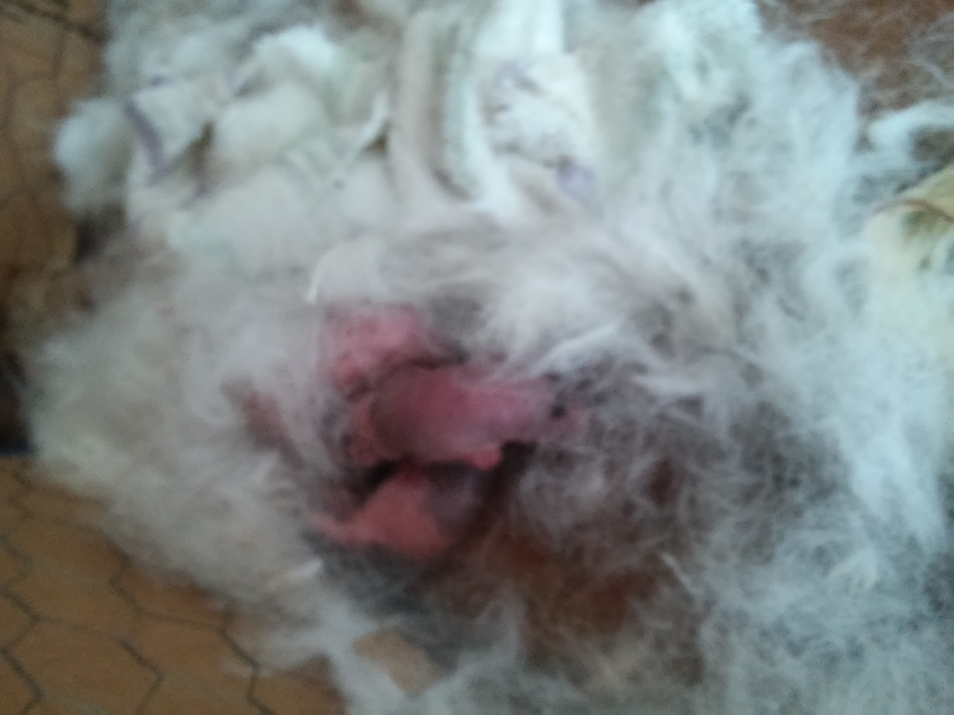 20180505_073828.jpg